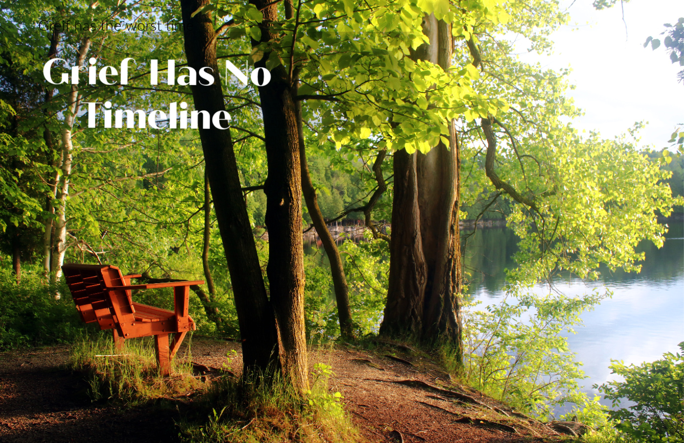 Empty park bench in a forest overlooking the lake below