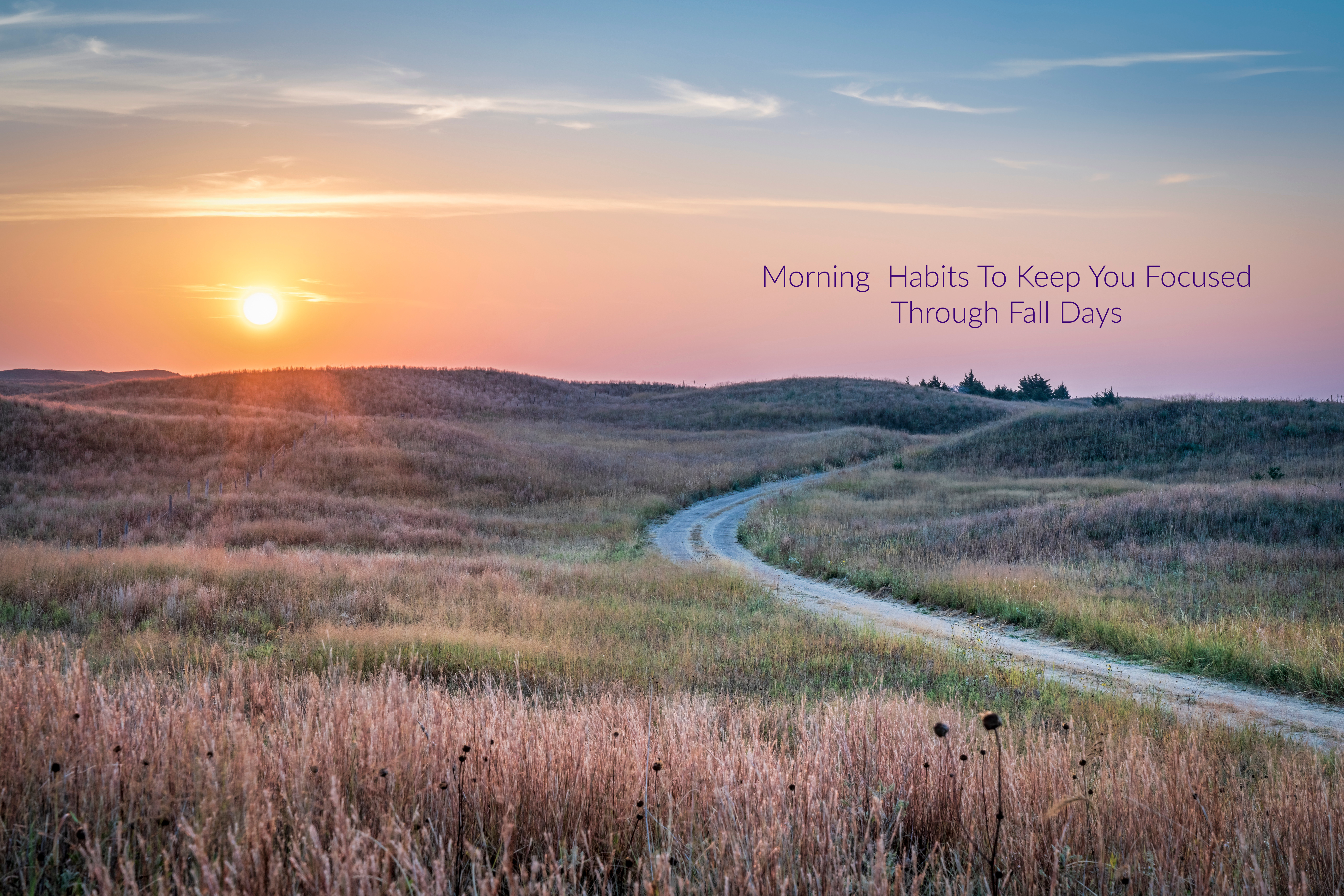 Morning in Nebraska Sandhills sunrise over curved gravel road