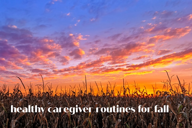 Great Plains sunset over a field of corn ready for harvest