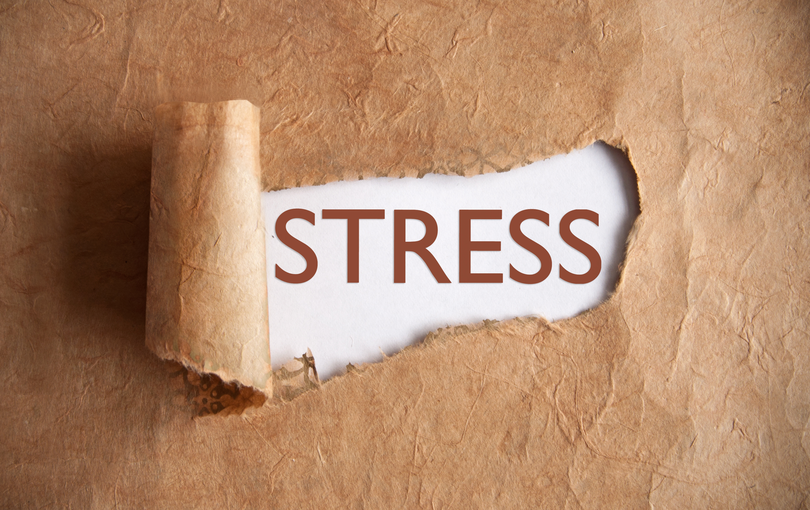 Brown paper rolled back to reveal the word "stress"