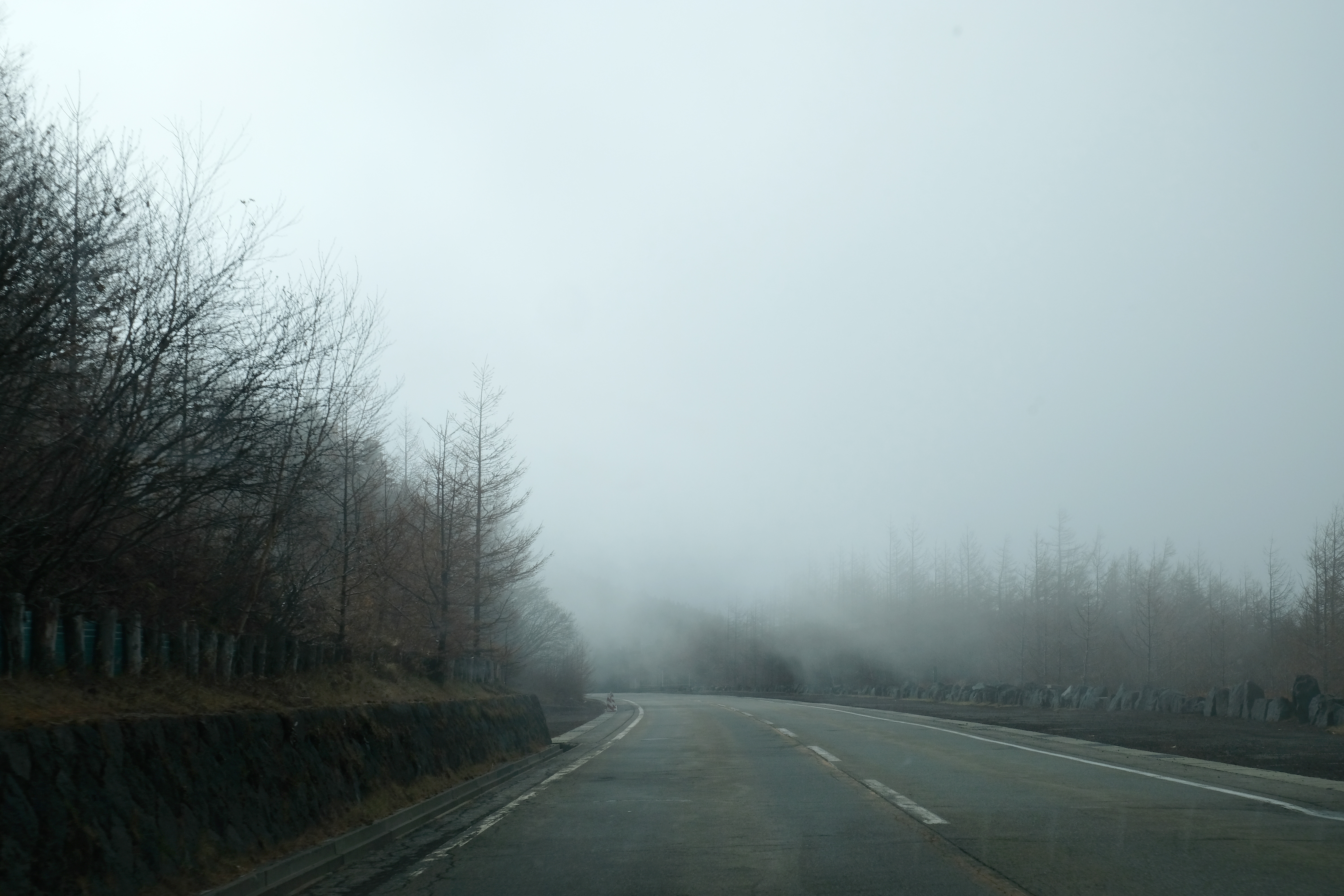 Foggy road into the unknown future